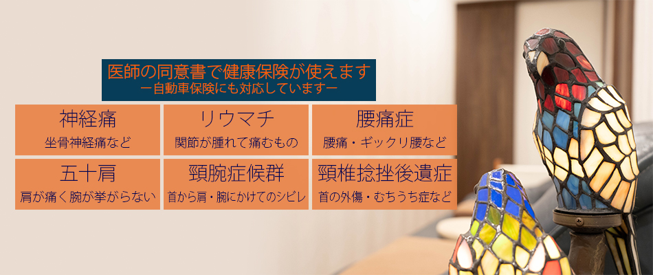 医師の同意書で健康保険が使えます