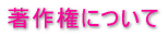 ���쌠�ɂ���