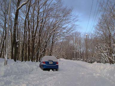 ���̒��ԏ�