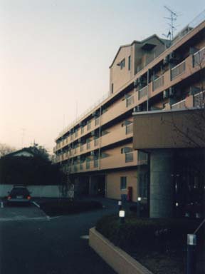 �������̕��i