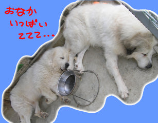 繝輔Ξ繝ｼ繝