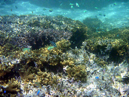 okinawa-2